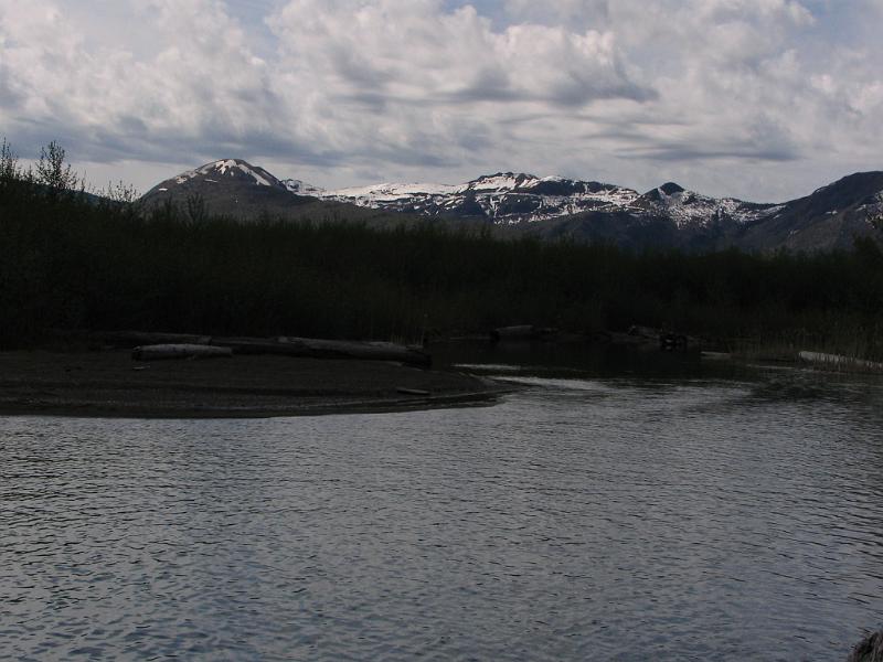 Mount St.Helens (19).JPG